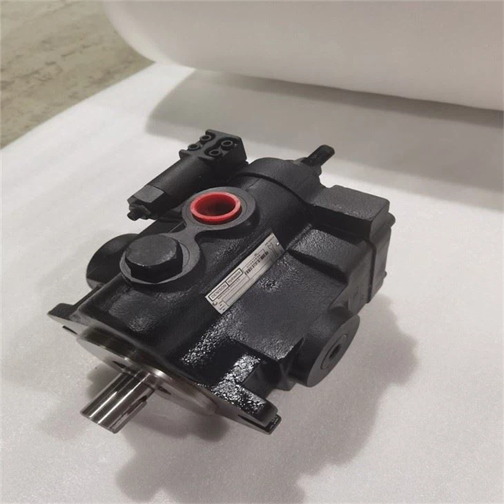 Parker PV20 PV29 Series Variable Displacement Piston Pump PV20-2R1D-C02 PV20-2R1E-C00 PV20-2R5E-C00 Dension High Pressure Pump