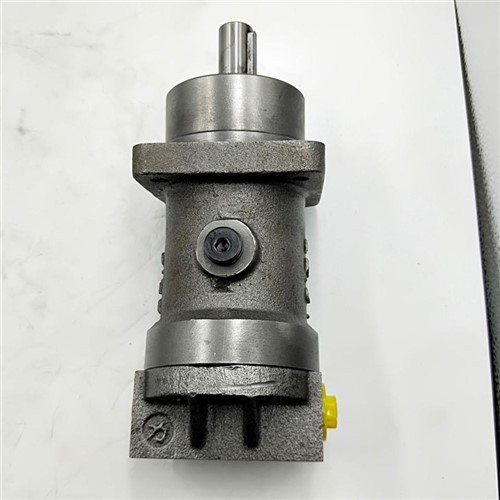 Trade Assurance REXROTH A2FM A2 A2F A2FM5/61WVBB030 Hydraulpump Hydraulmotor med dubbelrotation